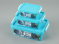 Food Container